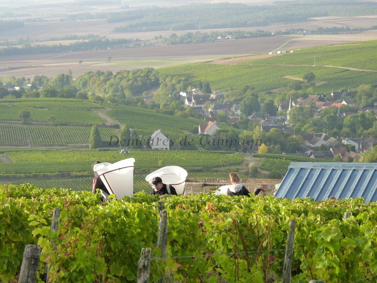 Maison Les Fossiles Sancerre Eksteriør billede